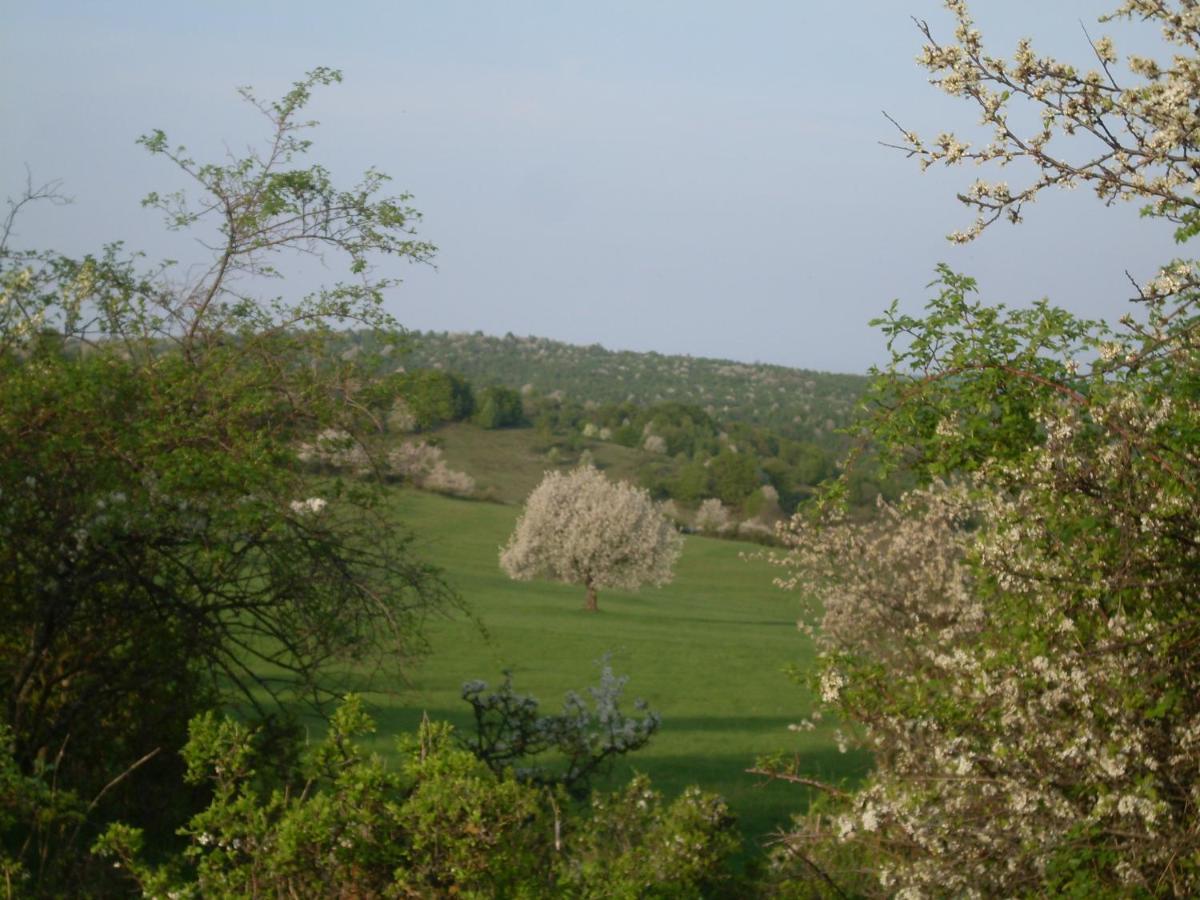 Ubytovanie Na Vcelej Farme Polichno Bagian luar foto